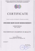 Сертификат Чемпиона Македонии